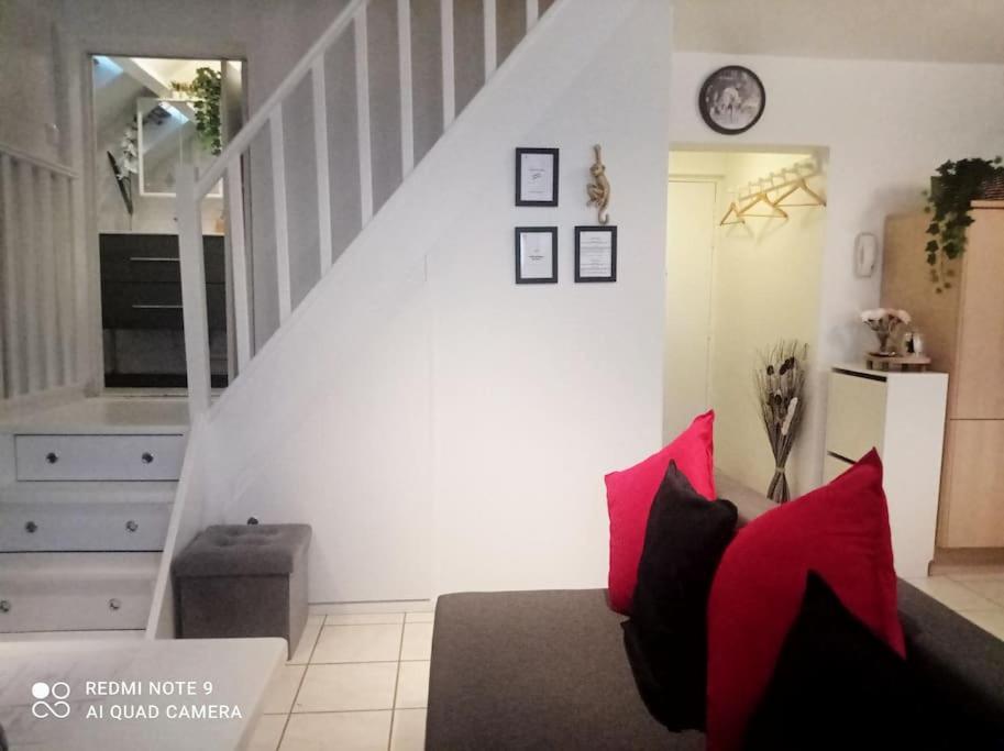 Апартаменти Le Duplex Decontracte Флері-лез-Обре Екстер'єр фото